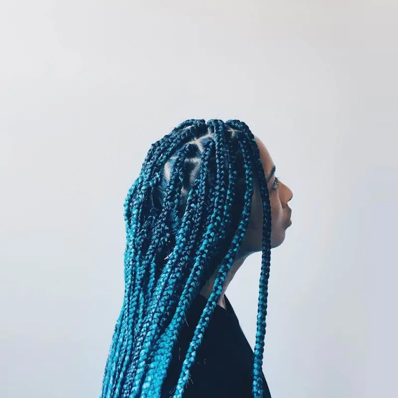 Box Braids hairstyle by Isa's African Hair Braiding in Savannah, GA (photo 104)
