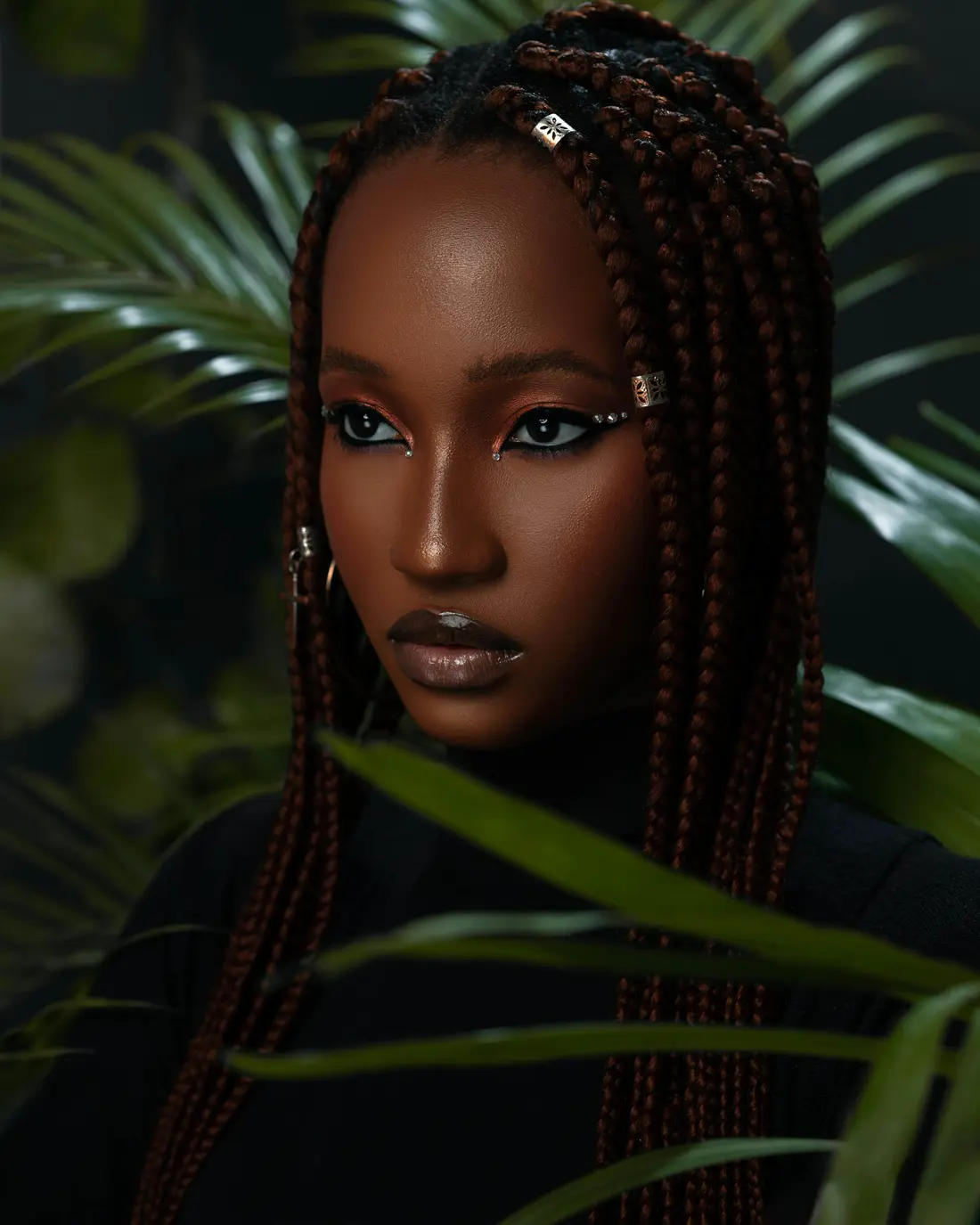 Box Braids hairstyle